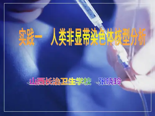 人类非显带染色体核型分析
