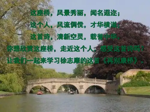人教版高一语文必修一再别康桥课件PPT