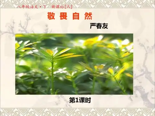2017春八年级语文下册第三单元第11课敬畏自然课件1(新版)新人教版