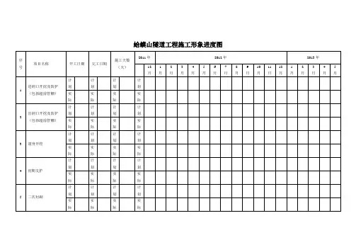 蛤蟆山隧道工程施工形象进度图