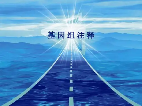 基因组注释详解