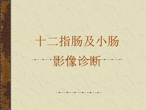 十二指肠及小肠