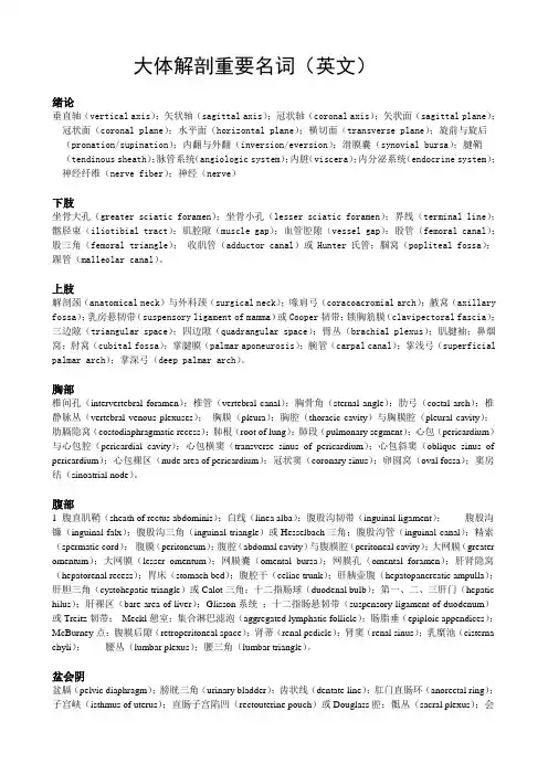 大体解剖学英文名词