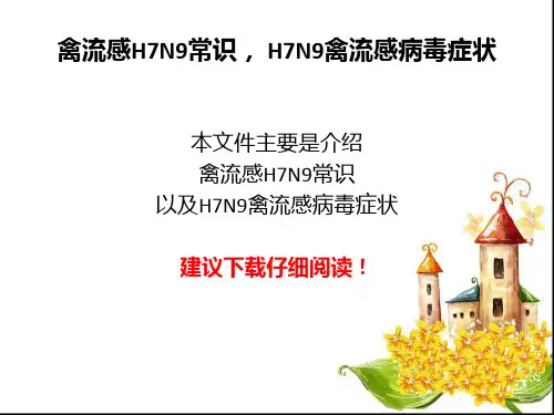 禽流感PPT课件