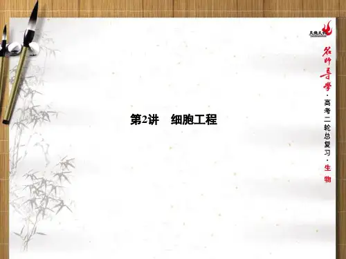 高考二轮总复习专题八第2讲细胞工程