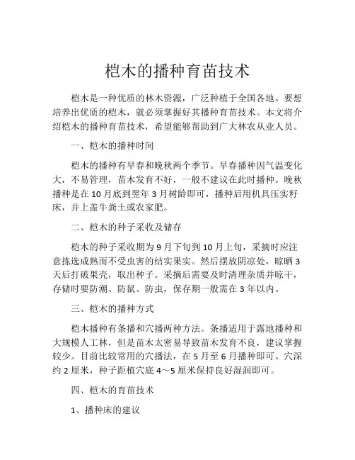 桤木的播种育苗技术