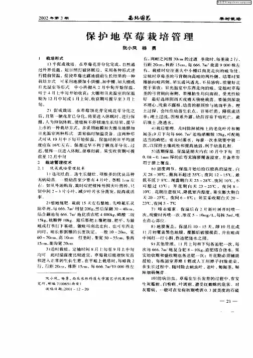 保护地草莓栽培管理