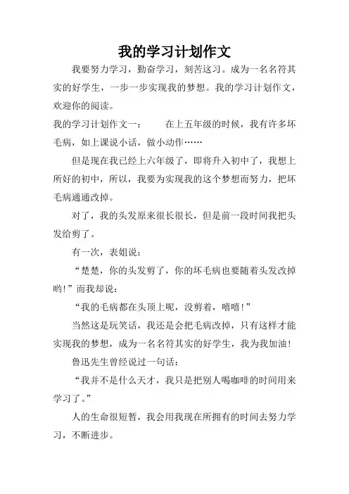 我的学习计划作文