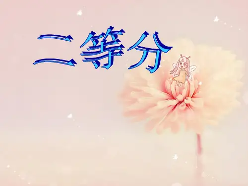 数学:幼儿园二等分