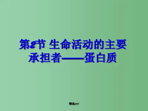 高中生物 第2节生命活动的主要承担者—蛋白质课件1 新人教版必修1