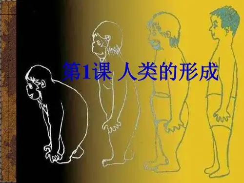 1人类的形成与文明曙光