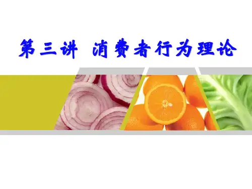 第三章 消费者行为理论