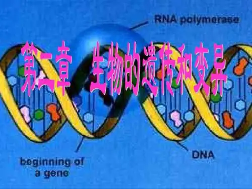 八年级生物基因控制生物的性状1