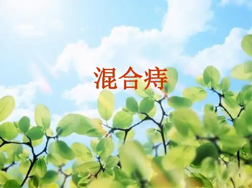 混合痔ppt课件