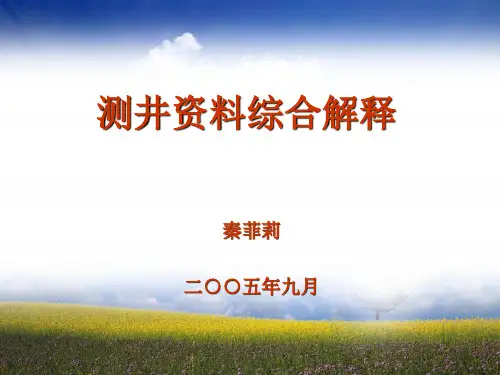 测井解释