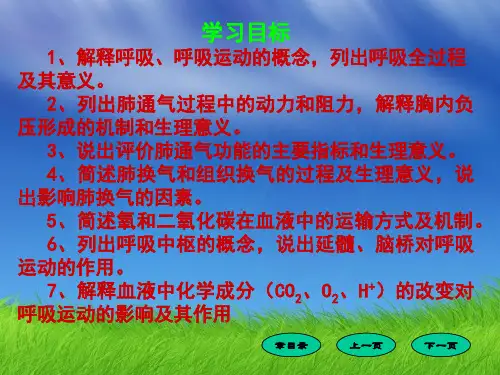 呼吸课件PPT