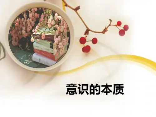 哲学生活5.1