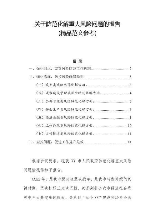 关于防范化解重大风险问题的报告(精品范文参考)