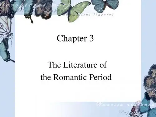 美国文学Chapter 3