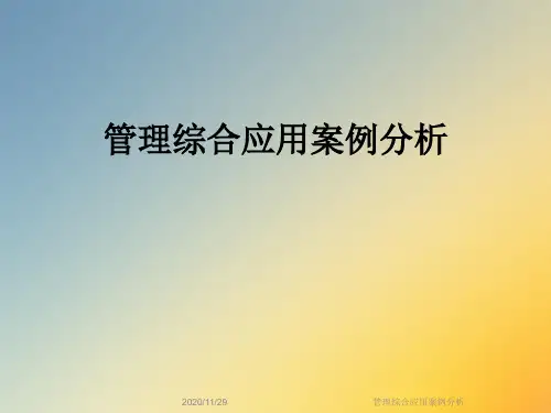 管理综合应用案例分析