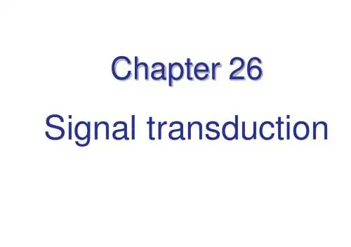 第四部分基因geneⅦ经典讲解chapter26