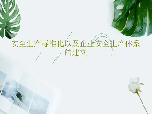 安全生产标准化以及企业安全生产体系的建立共56页文档