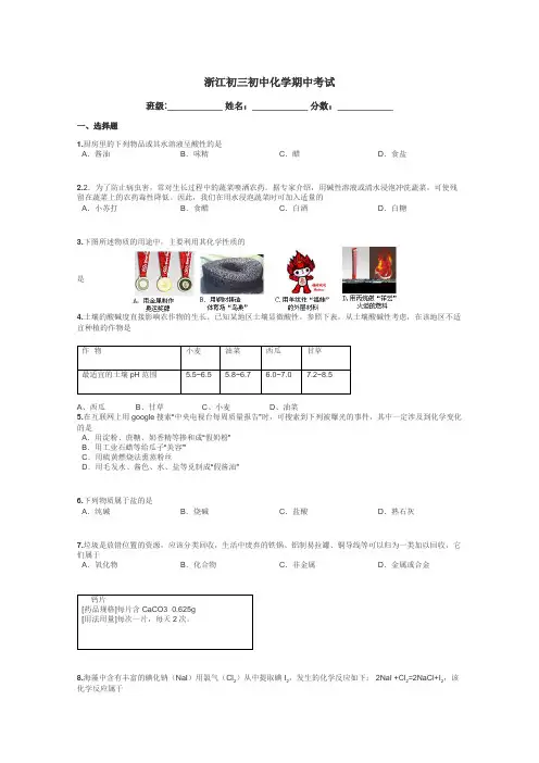 浙江初三初中化学期中考试带答案解析
