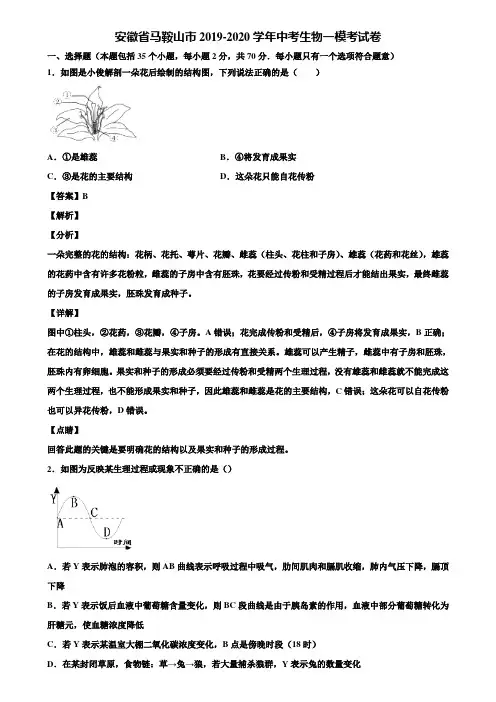 安徽省马鞍山市2019-2020学年中考生物一模考试卷含解析