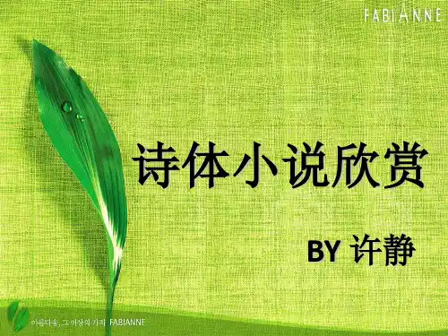 诗化小说欣赏