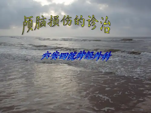 颅脑损伤(继教)