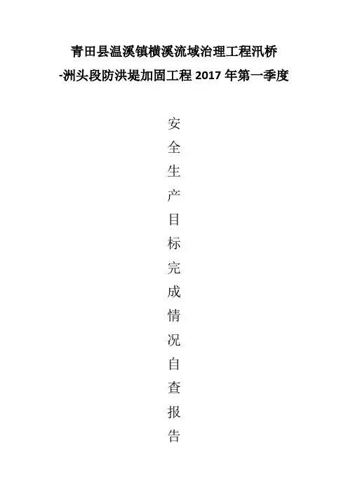 第一季度安全生产目标完成情况自查报告