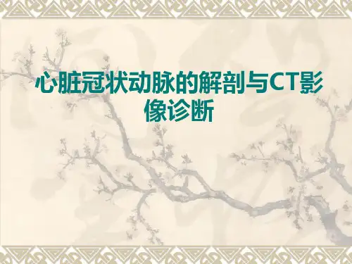 心脏冠状动脉的解剖与CT影像诊断