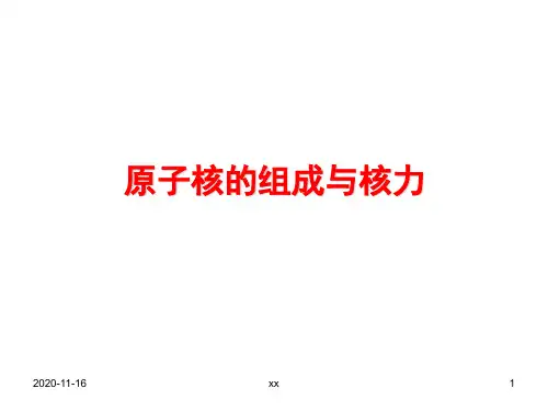 原子核的组成与核力.ppt