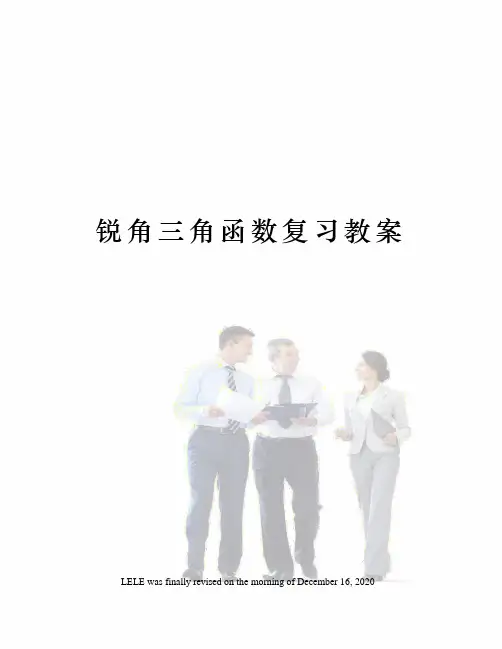 锐角三角函数复习教案