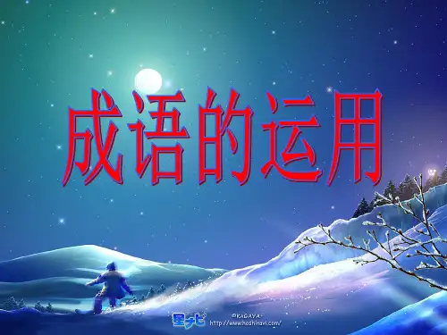 成语的运用课件ppt课件