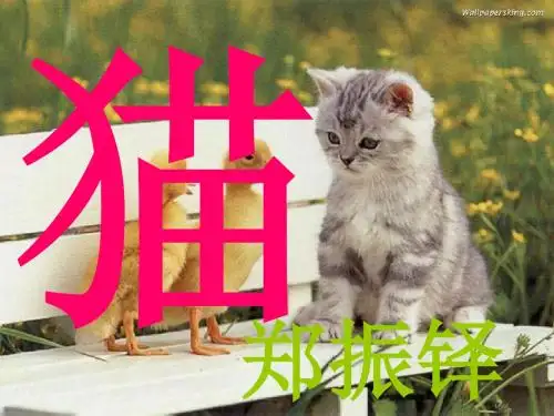 教育部最新审定人教版七年级语文上册17 猫 (2)精品课件