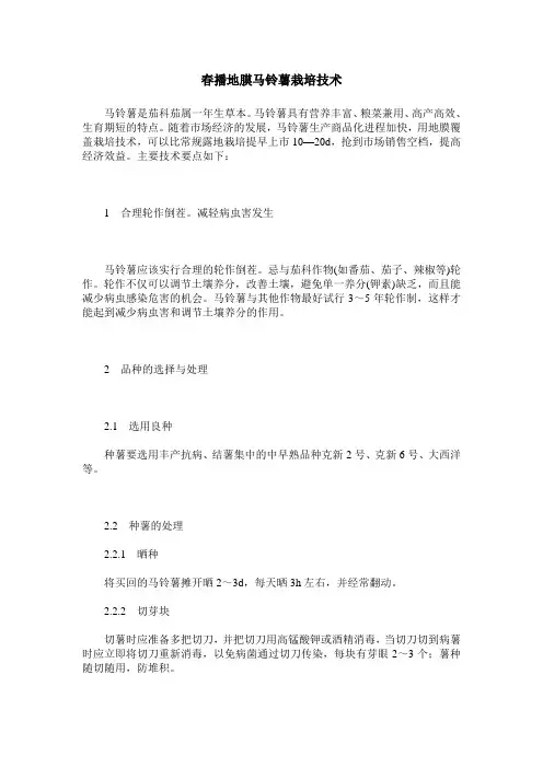 春播地膜马铃薯栽培技术