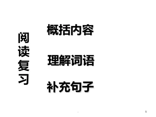 语文阅读复习PPT课件