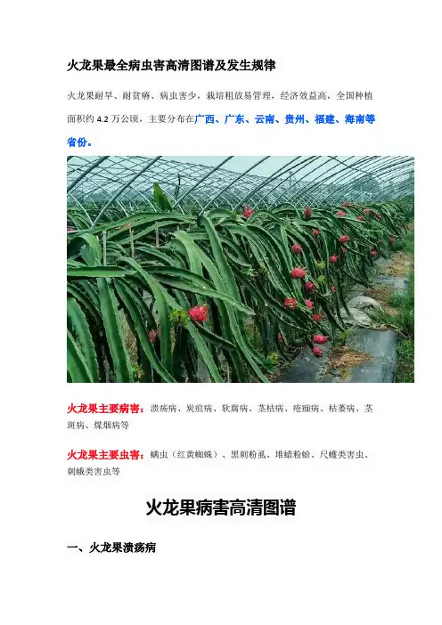 火龙果最全病虫害高清图谱及发生规律
