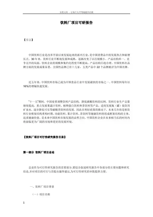 饮料厂项目可研报告