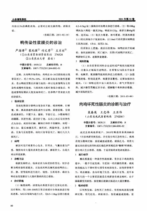肉鸡坏死性肠炎的诊断与治疗