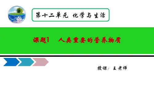 九年级化学下册12.1人类重要的营养物质(改)