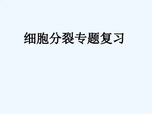 高三生物专题复习细胞分裂专题课件