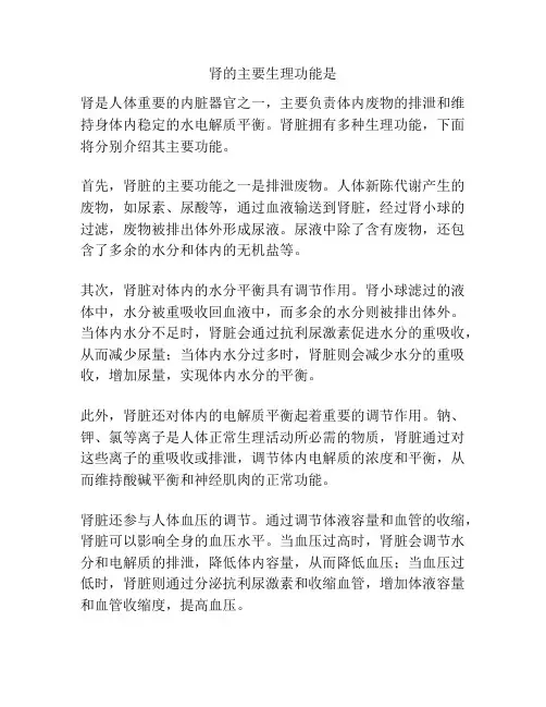 肾的主要生理功能是