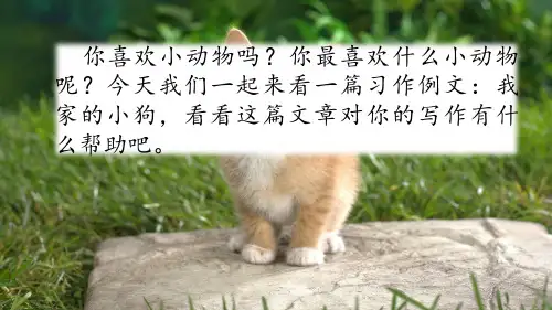 习作例文：我家的小狗 人教部编版语文三年级上册 精品名师公开课课件