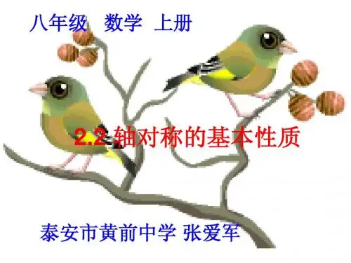 轴对称的基本性质(2)