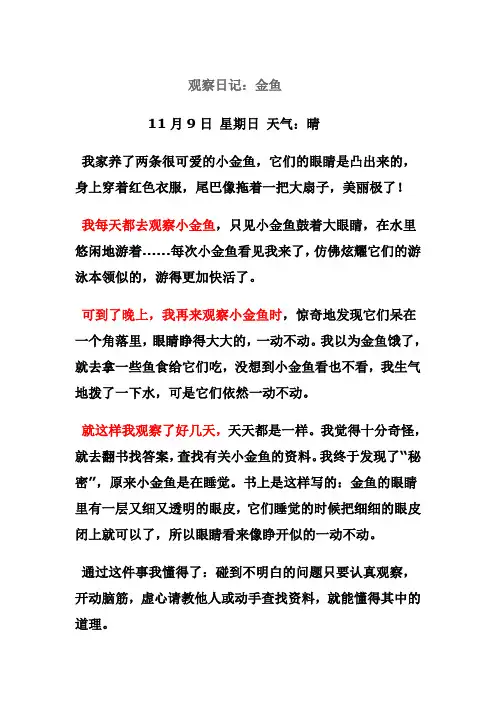 四年级观察日记金鱼