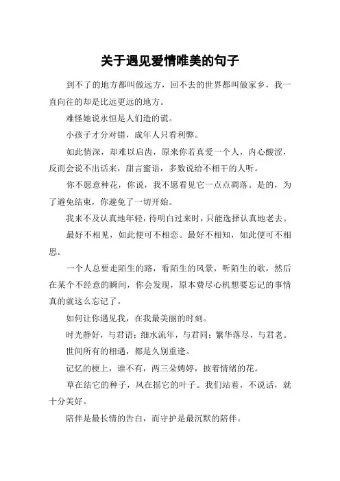 关于遇见爱情唯美的句子_1