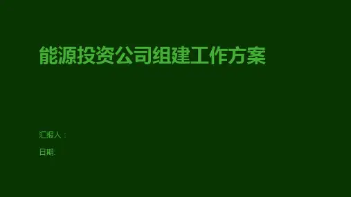 能源投资公司组建工作方案