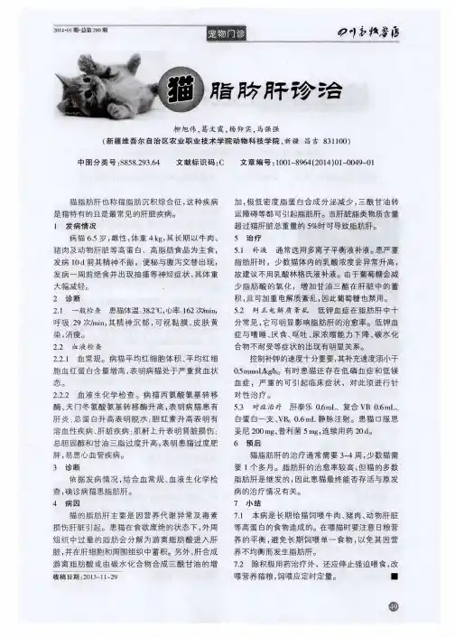 猫脂肪肝诊治